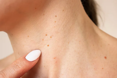 Снимок экрана 2026-02-03 190638